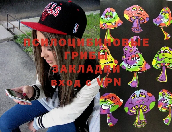 стафф Алексин