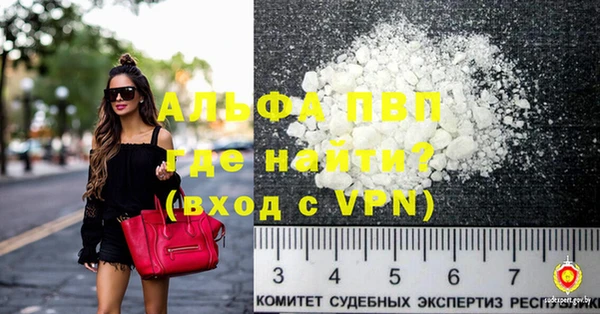 стафф Алексин