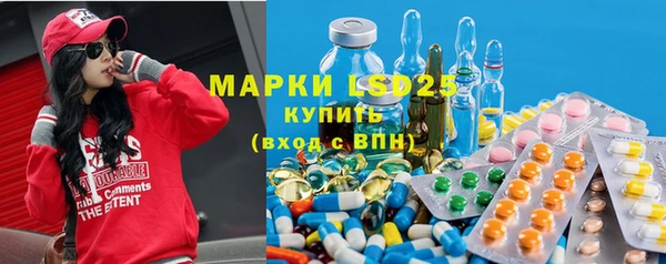 стафф Алексин
