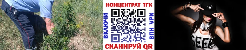 blacksprut как войти  Искитим  Дистиллят ТГК THC oil 