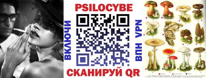 дарк нет клад Искитим Псилоцибиновые грибы GOLDEN TEACHER